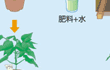 光合成、実験