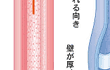 動脈、静脈