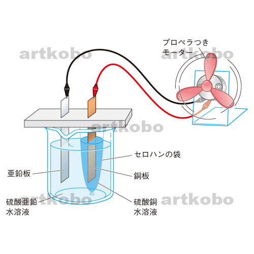 Web教材イラスト図版工房 全商品