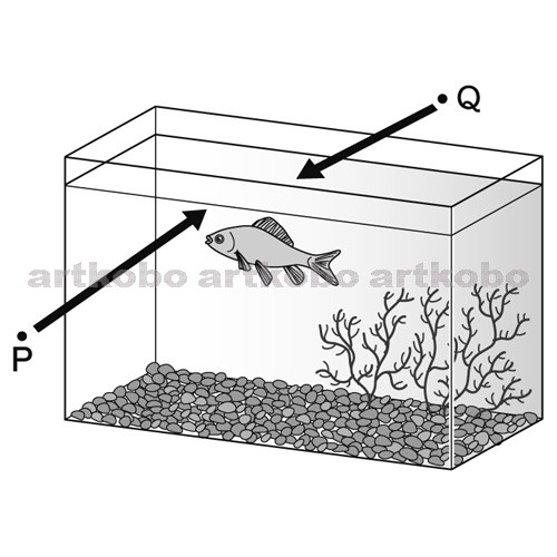 Web教材イラスト図版工房 R C1m 水槽の中の魚の見え方と全反射 1