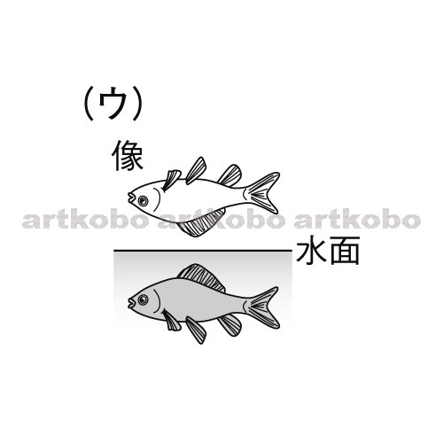 Web教材イラスト図版工房 R C1m 水槽の中の魚の見え方と全反射 4