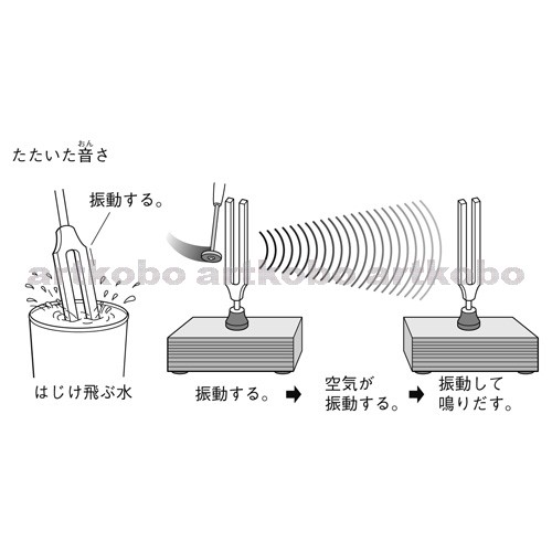 Web教材イラスト図版工房 R C1m 音さの振動の伝わり方