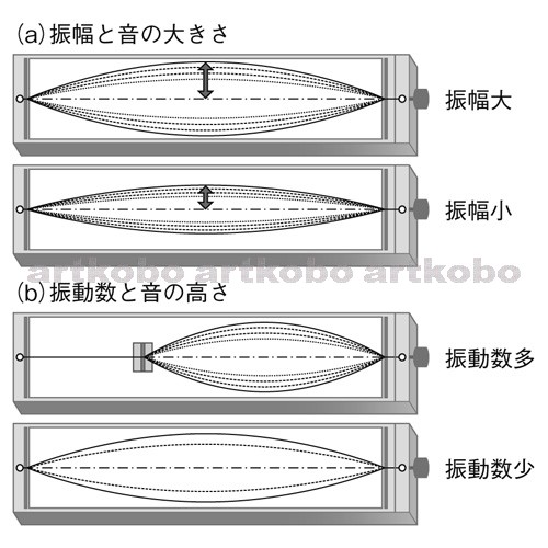 Web教材イラスト図版工房 R C1m モノコードの弦の振動と音の大きさ 高さ