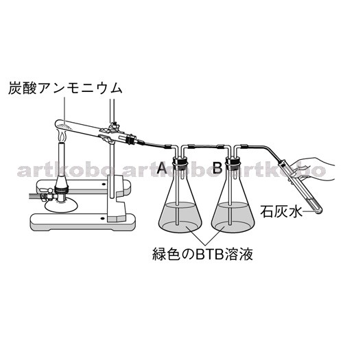 Web教材イラスト図版工房 R C1m 炭酸アンモニウムの分解 2