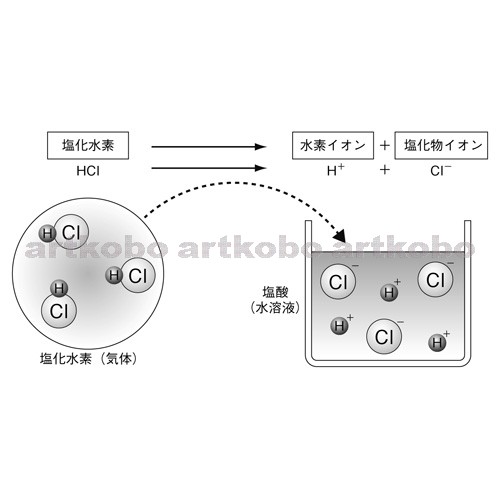 Web教材イラスト図版工房 R C1m 塩化水素の電離のようす