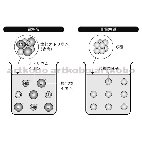 Web教材イラスト図版工房 原子の成り立ちとイオン