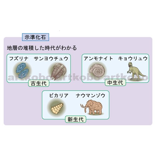 Web教材イラスト図版工房 R C2 けずられる大地 13