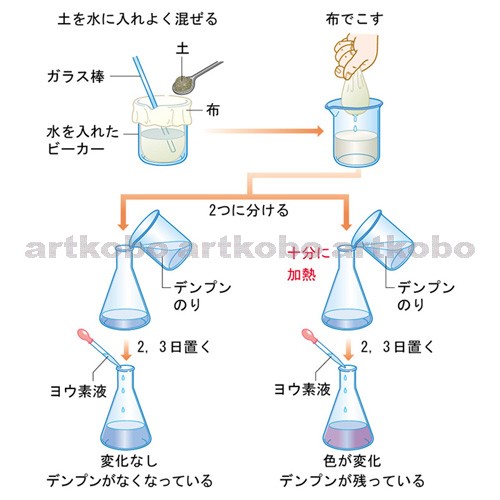 Web教材イラスト図版工房 R C2 自然のなかの生物 02