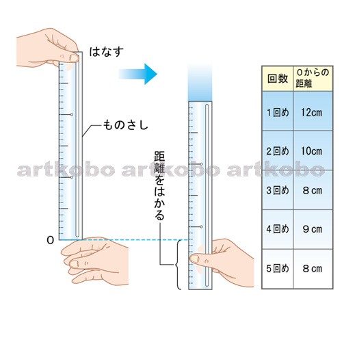 Web教材イラスト図版工房 R C2 動物の行動 14