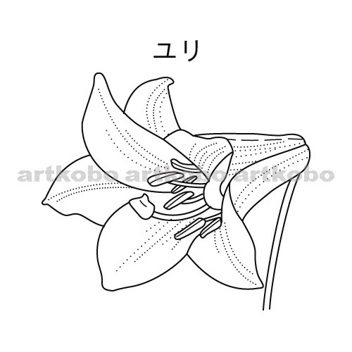 Web教材イラスト図版工房 R C2m 種子をつくる植物のなかま ユリ 2