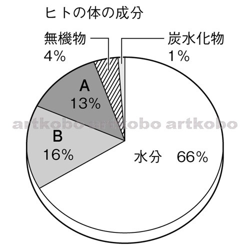 Web教材イラスト図版工房 R C2m ヒトの体の成分