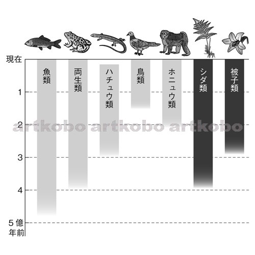 Web教材イラスト図版工房 生物の移り変わりと進化