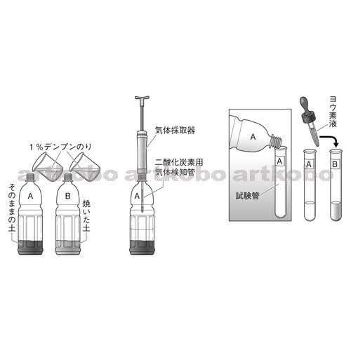 Web教材イラスト図版工房 R C2m 土の中の微生物のはたらきを調べる実験 5