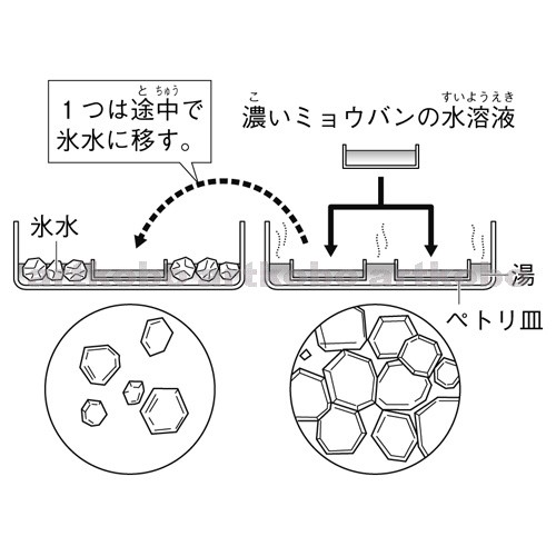 Web教材イラスト図版工房 R C2m 冷え方のちがいによる結晶のでき方を調べる実験