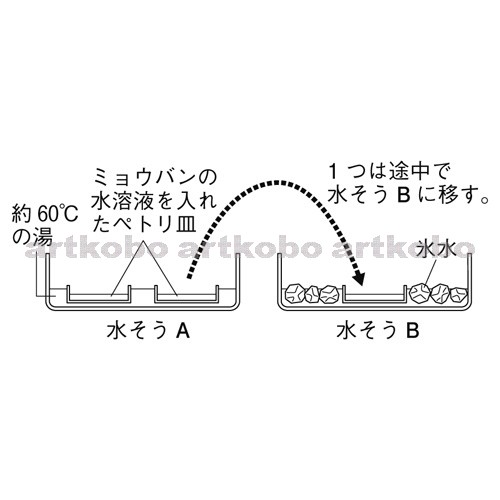 Web教材イラスト図版工房 R C2m ミョウバンの再結晶