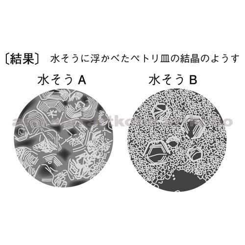 Web教材イラスト図版工房 R C2m ミョウバンの結晶のでき方 1