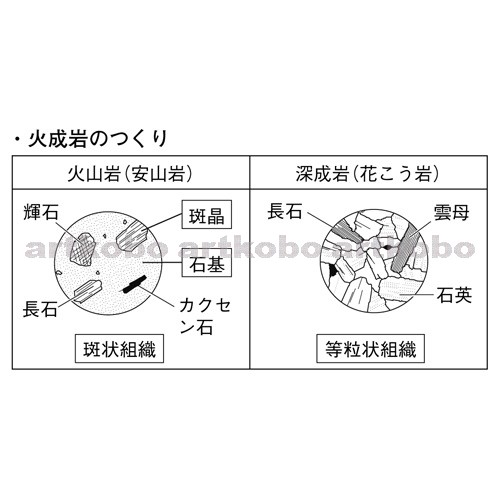 Web教材イラスト図版工房 R C2m 火山岩と深成岩のつくりと鉱物の種類 1