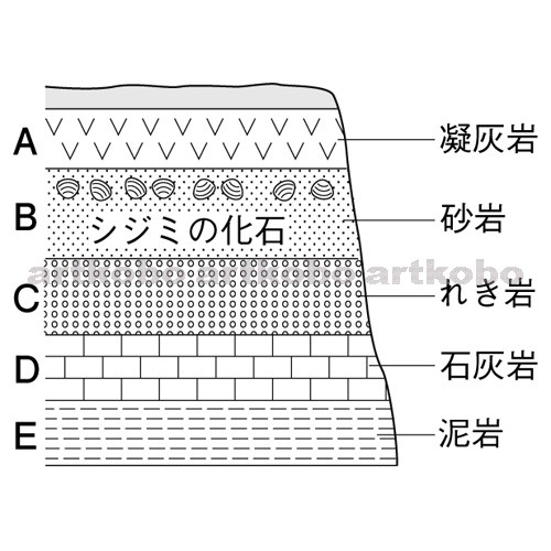 Web教材イラスト図版工房 R C2m 地層のようすの観察 3