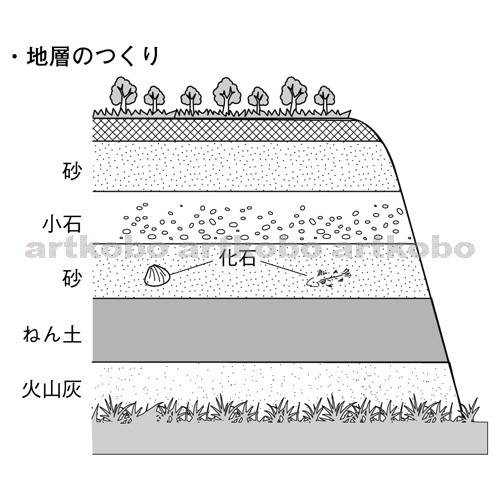 Web教材イラスト図版工房 R C2m 地層のようすの観察 10