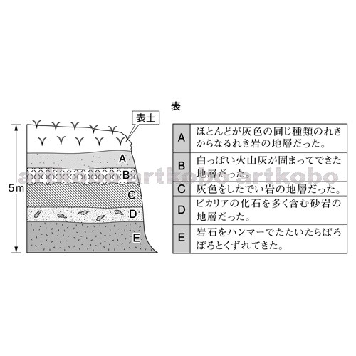 Web教材イラスト図版工房 R C2m 地層のようすと観察記録