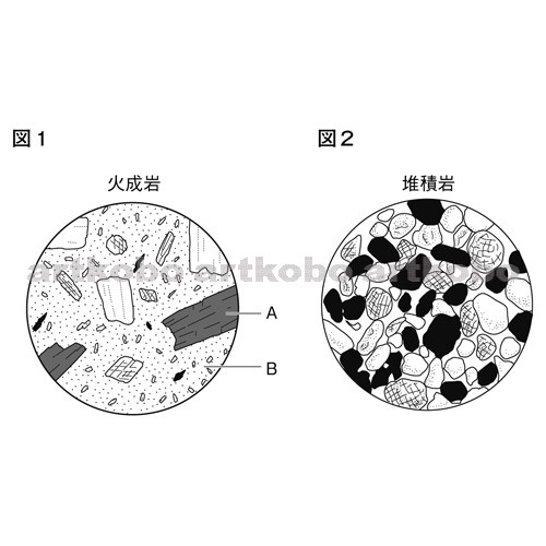 Web教材イラスト図版工房 R C2m 堆積岩と火成岩のつくりの比較