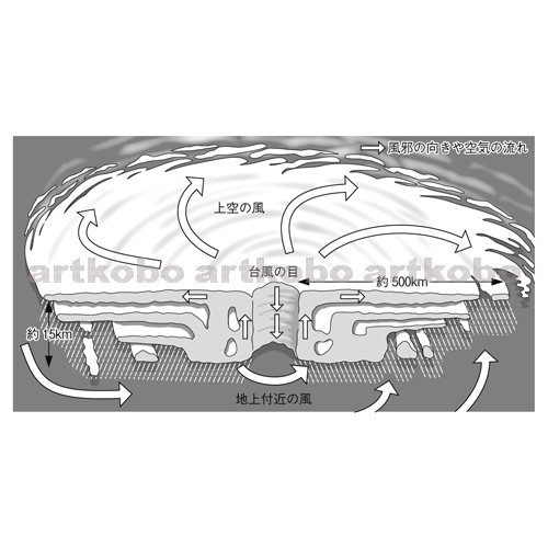 Web教材イラスト図版工房 R C2m 台風の断面図