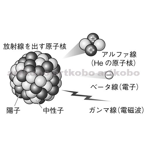 Web教材イラスト図版工房 中学理科2分野モノクロ